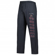 Arizona Coyotes Concepts Sport Meter Long Sleeve T-Shirt & Pants Sleep Set - Black/Garnet