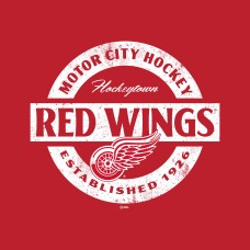 Толстовка Detroit Red Wings Territorial - Red