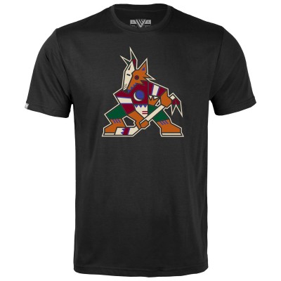 Футболка Arizona Coyotes Levelwear Youth Team Little Richmond - Black