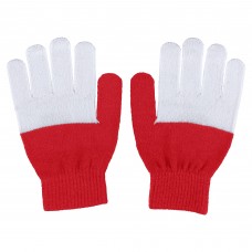 Detroit Red Wings WEAR by Erin Andrews Womens Color-Block Gloves